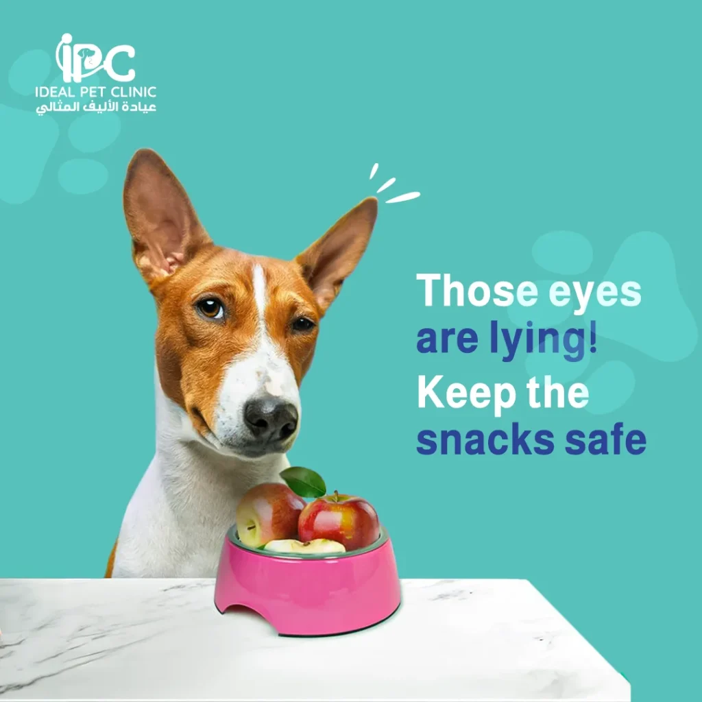 IPC — 8